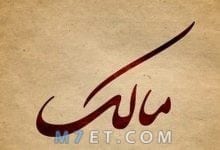 Photo of معنى اسم مالك وحكم التسميه بهذا الاسم