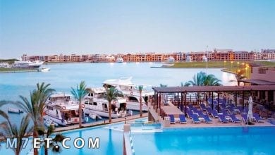 Photo of احسن فنادق الغردقة من حيث السعر