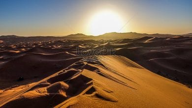 Photo of تفسير رؤية الصحراء في المنام