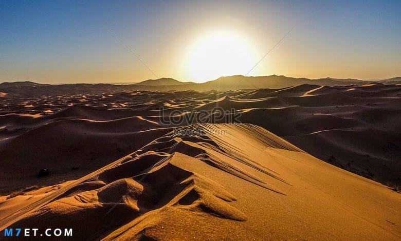 تفسير رؤية الصحراء في المنام
