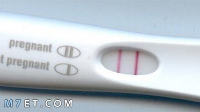 Photo of خلطة تساعد على الحمل بعد الدورة الشهرية مجربة