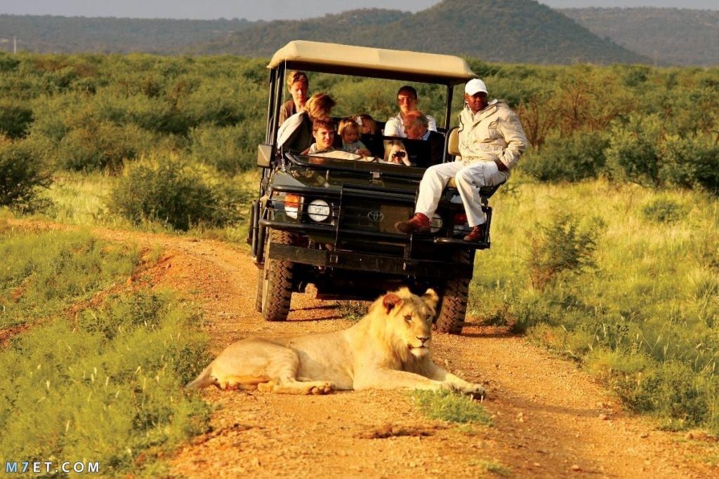أفضل 5 مواقع سياحية في أفريقيا
