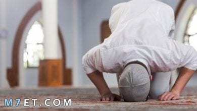 Photo of تعريف الصلاة لغة واصطلاحا وأهميتها