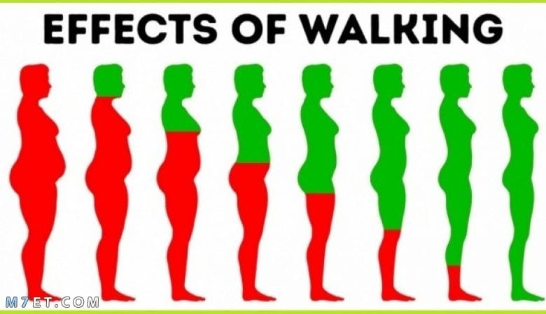 ما هى فوائد المشي