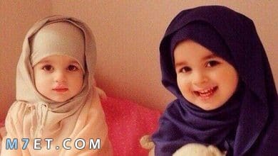 Photo of صور اطفال بنات محجبات 2024