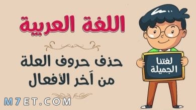 Photo of حروف العلة في اللغة العربية