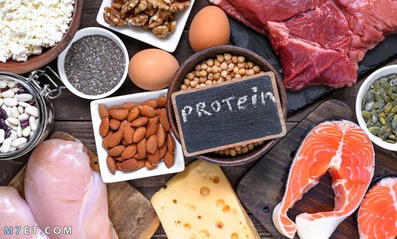 نظام غذائي عالي البروتين