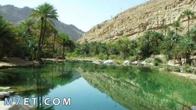 Photo of السياحة في عمان 2024 | أبرز 4 أنواع للسياحة في عمان
