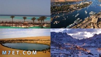 Photo of السياحة الشتوية في مصر  | افضل 5 اماكن للسفر في الشتاء في مصر 