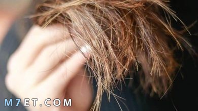 Photo of ما هو تقصف الشعر: 7 أنواع و7 أسباب منتشرة وطرق العلاج والوقاية المجربة