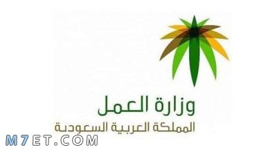 Photo of وزارة العمل الخدمات الالكترونية رخصة عمل السعودية