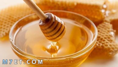 Photo of فوائد العسل للشفاه الجافة والمتشققة| 6 وصفات للتخلص من اللون الداكن