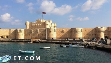 Photo of أفضل الأماكن السياحية في الإسكندرية يمكن زيارتها 2024