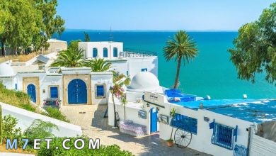 Photo of افضل اماكن سياحية في تونس لعام 2024