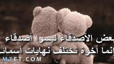 Photo of كلام جميل لصديق تُربت على قلبه الحاني