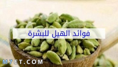 Photo of فوائد الهيل للبشرة ولعلاج حب الشباب وطرق استخدامه بالتفصيل