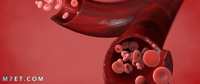 ارتفاع كريات الدم الحمراء في البول