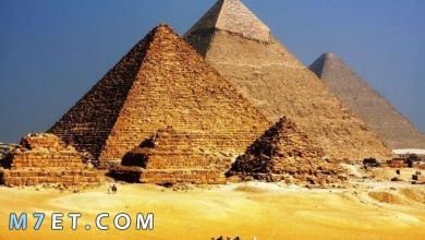 Photo of مقومات السياحة في مصر الطبيعية والبشرية