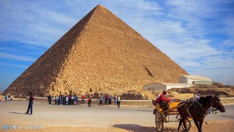أين تقع الاهرامات في مصر