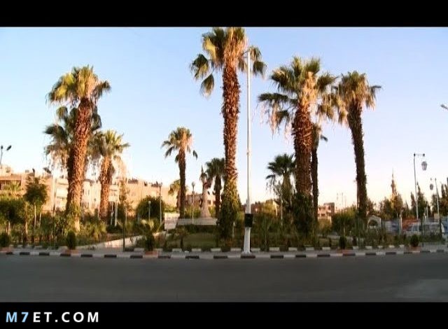 تاريخ مدينة دوما السورية العريقة صورة رقم 1