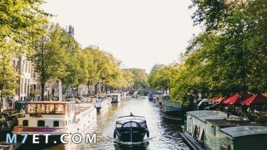 Photo of أشهر مدن هولندا السياحية لعام 2024