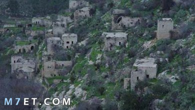 Photo of أقدم مدينة سكنها الإنسان في فلسطين
