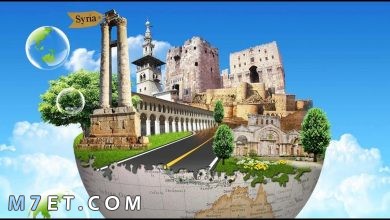 Photo of أهم مدن سوريا | ومعالمها الطبيعية والتاريخية