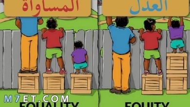 Photo of الفرق بين العدل والمساواة