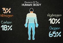 Photo of معلومات تفصيلية عن العناصر في جسم الإنسان