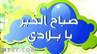Photo of أجمل عبارات صباح الخير يا وطني تشد العزيمة فداءً للوطن
