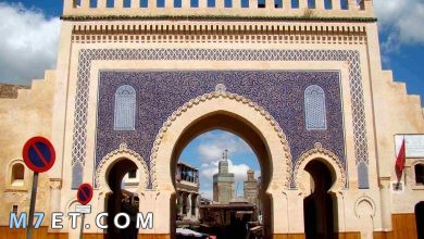 Photo of دولة الادارسة في المغرب