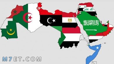 Photo of كم دولة عربية تقع في قارة أفريقيا