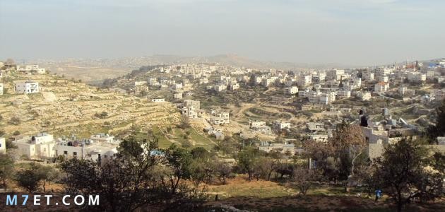 أقدم مدينة في فلسطين
