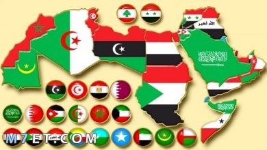 Photo of عدد دول الوطن العربي وترتيبها من حيث المساحة