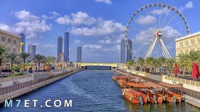 Photo of أين تذهب في الشارقة | عاصمة الثقافة العربية 2024