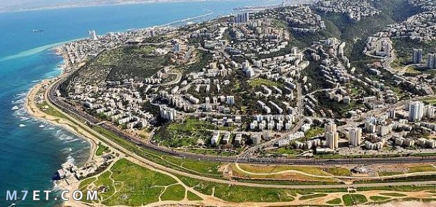 بحث عن مدينة حيفا