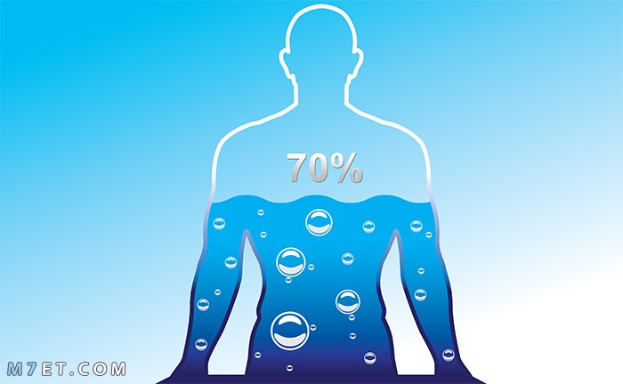 نسبة الماء في الجسم