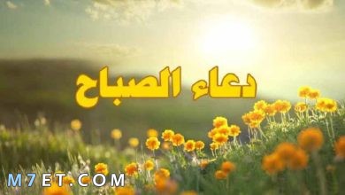 Photo of دعاء الصباح كتابة أفضل 50 دعاء الصباح قصير مكتوب