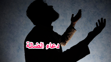 Photo of دعاء الضالة وفقدان الأشياء – تعرف على قول النبي محمد