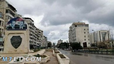 Photo of أهم المعلومات حول مدينة اللاذقية