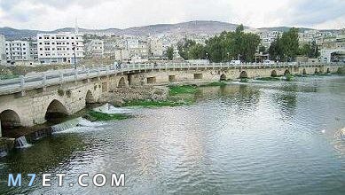 Photo of أهم المعلومات حول مدينة جسر الشغور