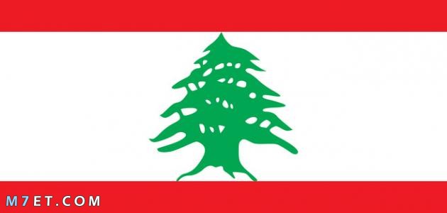 مدينة عرسال في لبنان
