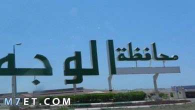 Photo of اهم المعلومات حول مدينة الوجه وقراها