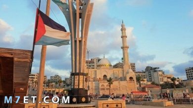 Photo of السياحة في قطاع غزة