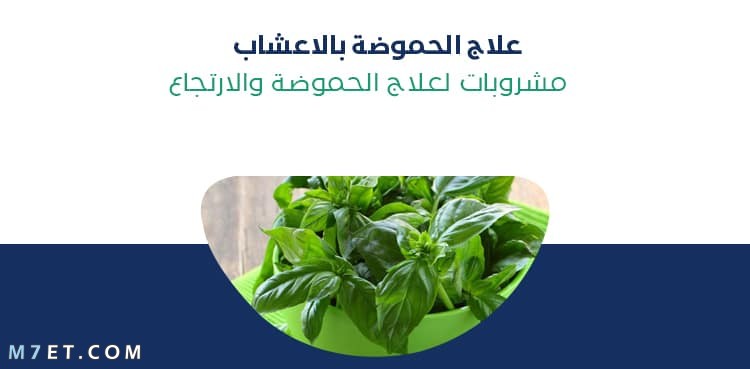 علاج الحموضة بالاعشاب