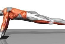 Photo of عضلات البطن | أقوى تمارين لشد عضلات البطن في المنزل