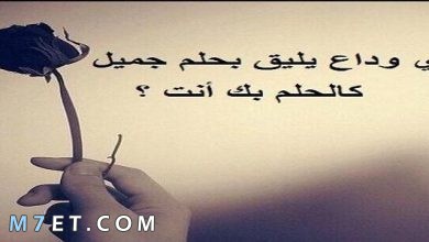 Photo of كلام عن الفراق اجمل 100 عبارات حزينة عن الفراق