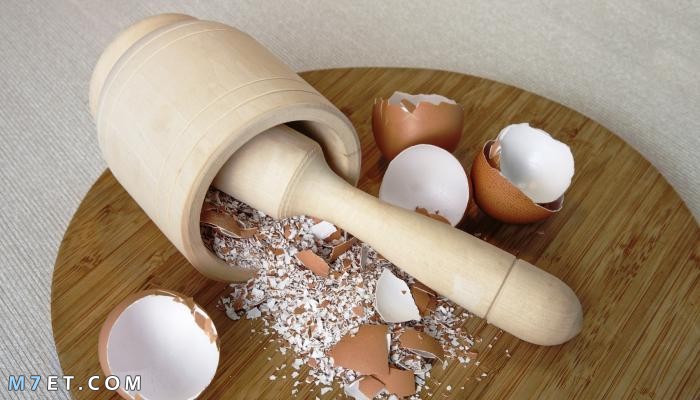 قشر البيض | أهم فوائد قشر البيض وإستخداماته المتعددة