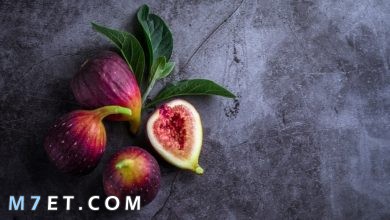 Photo of ثمار التين | فوائد التين الصحية وفوائد أوراقه للجنس