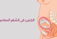 Photo of أعراض الحمل في الشهر السادس للبنت والولد